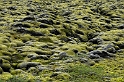_DSC0733