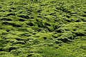 _DSC0759