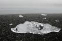 _DSC0763