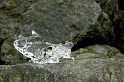 _DSC0768