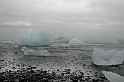 _DSC0785