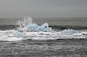 _DSC0840