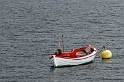 _DSC0870