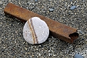 _DSC0918