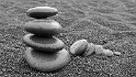 _DSC5676