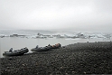 _DSC5772