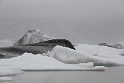 _DSC5784