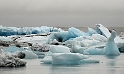_DSC5832