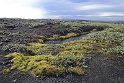 _DSC6530