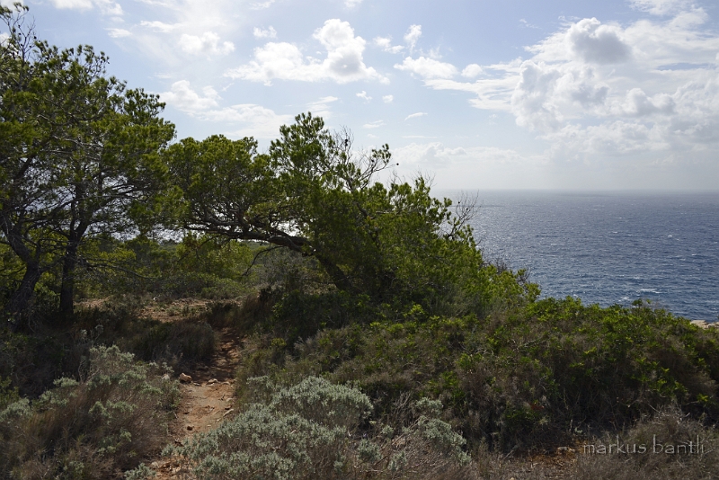 x_DSC1795.jpg - Küstenwanderweg