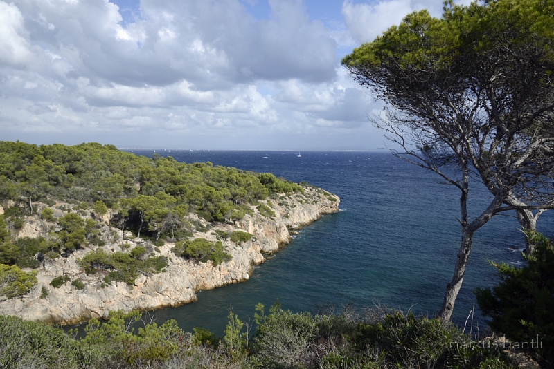 x_DSC1825.jpg - Cap de Cala Figuera