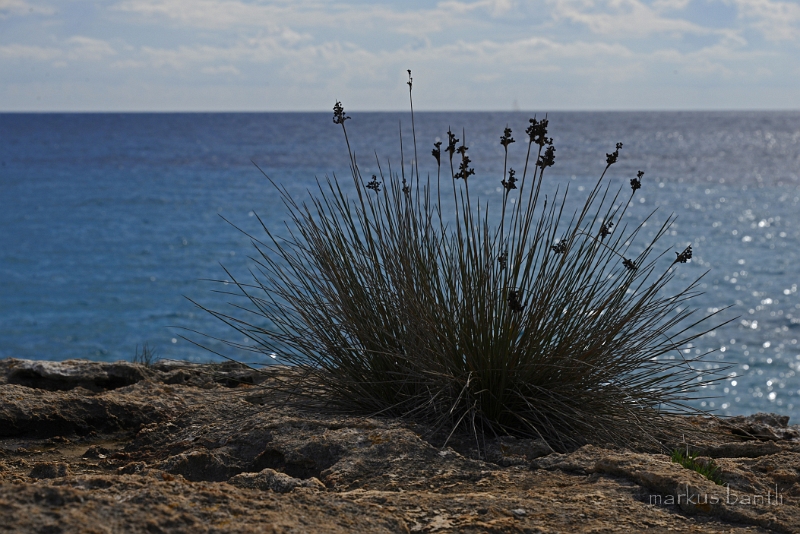 x_DSC1840.jpg