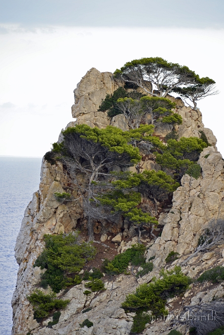 x_DSC1859.jpg - Cala Ratjadas