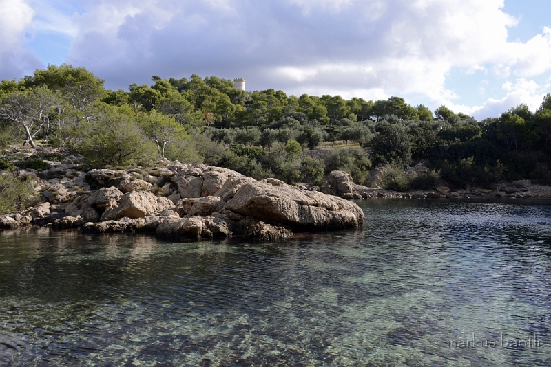 x_DSC1920.jpg - Insel Dragonera