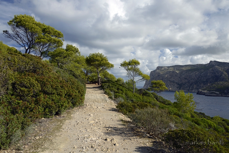 x_DSC1923.jpg - Insel Dragonera