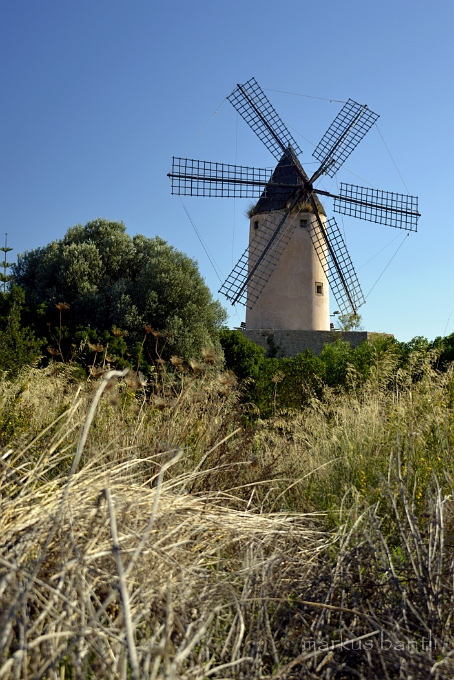 x_DSC1979.jpg - Moli de vent - Santa Ponça 