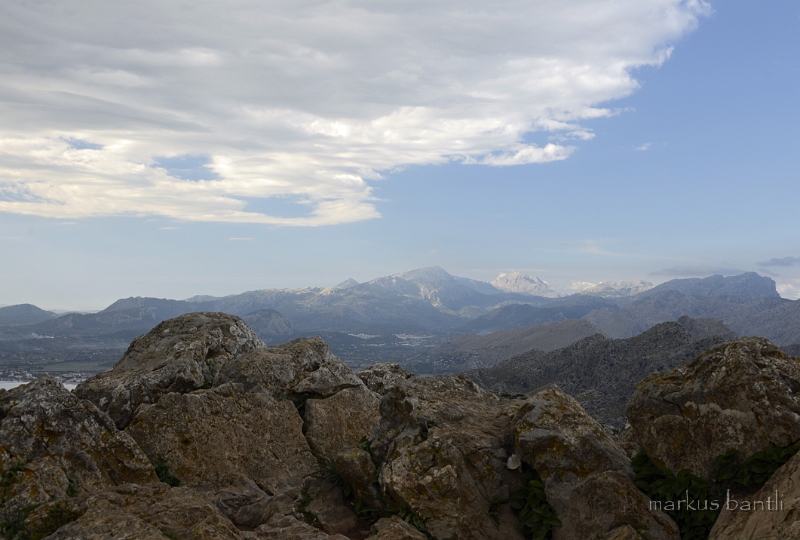 x_DSC2036.jpg