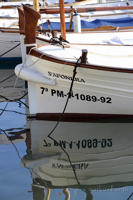 x_DSC2080.jpg
