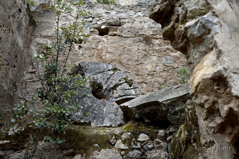 x_DSC2198.jpg