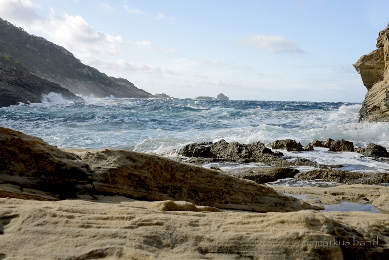 x_DSC2295.jpg