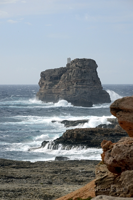 x_DSC2360.jpg