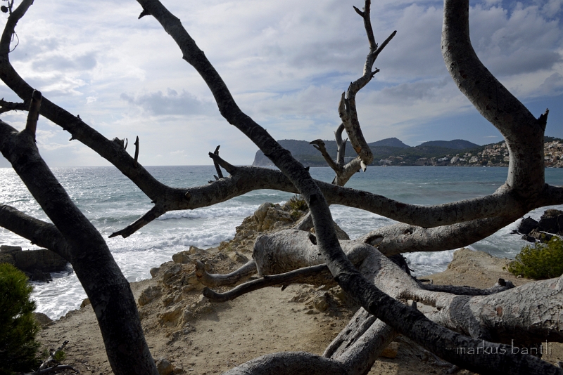 x_DSC2364.jpg - Bucht bei Peguera