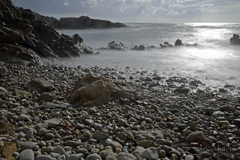 x_DSC2380.jpg