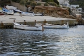 x_DSC1911