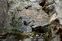 x_DSC2198