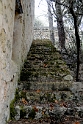 x_DSC2217