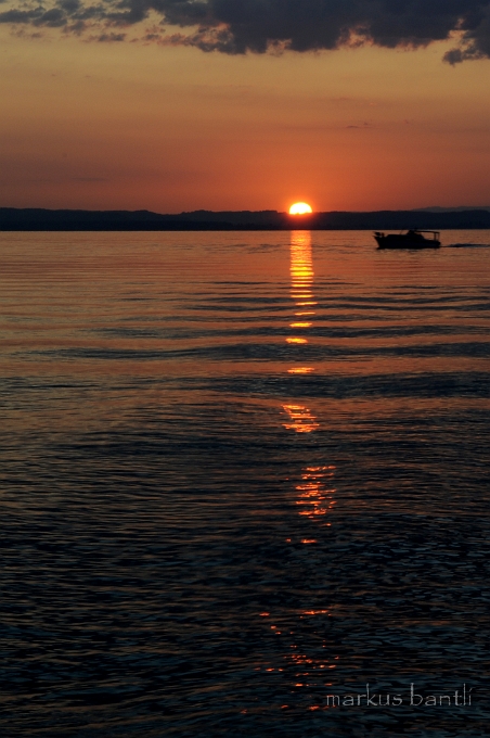 DSC_8248.jpg