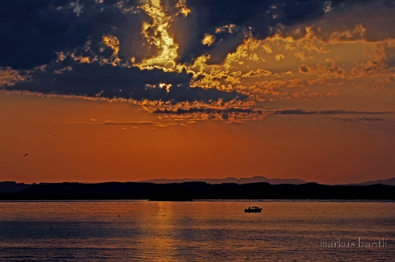 DSC_8279.jpg
