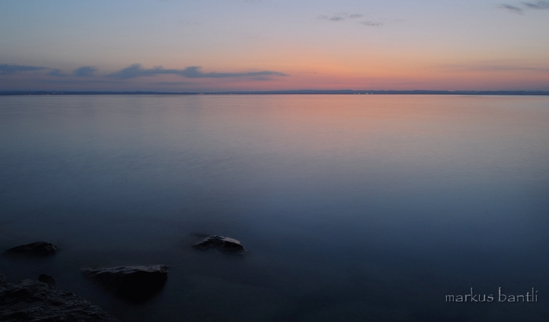 DSC_8298.jpg