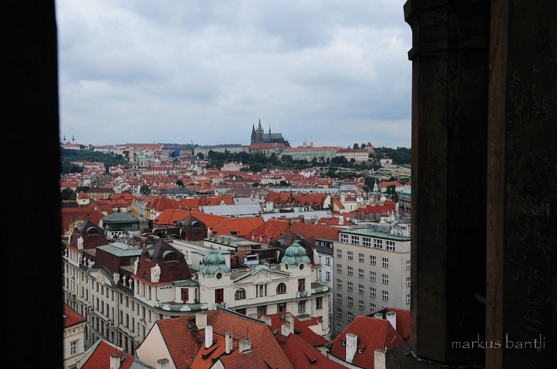 DSC_7715.JPG