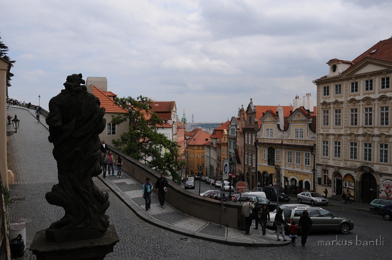DSC_7774.JPG