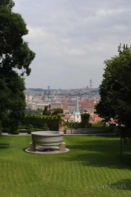 DSC_7787.JPG