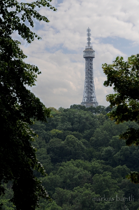 DSC_7788_1.jpg