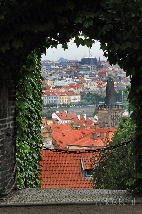 DSC_7793_1.jpg