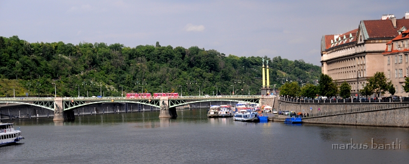 DSC_7810.JPG