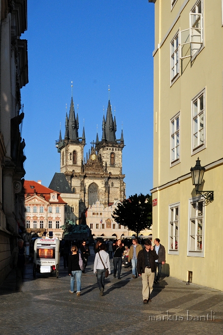 DSC_7820_1.jpg