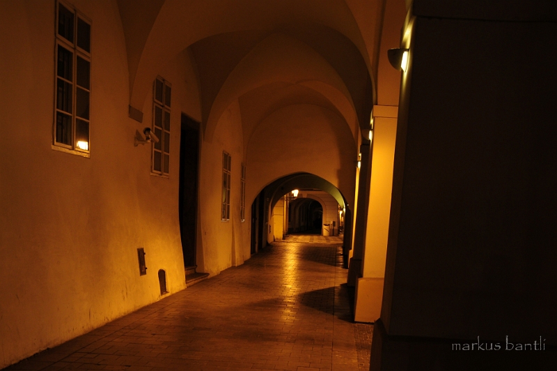 DSC_7845.JPG