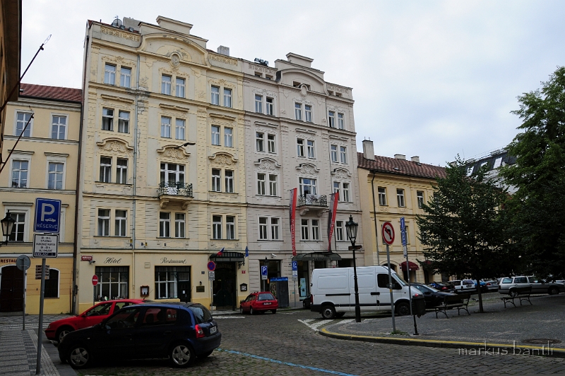 DSC_7854.JPG