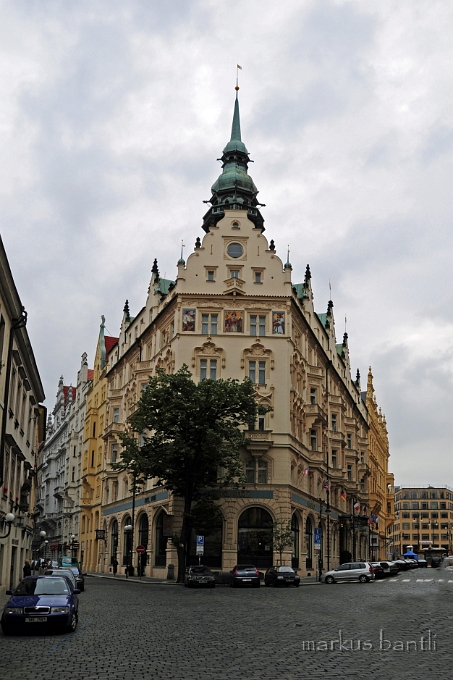 DSC_7857_1.jpg
