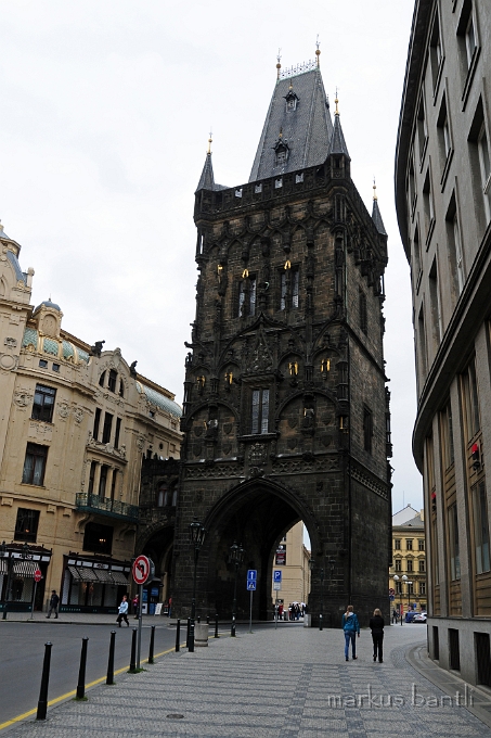 DSC_7861.JPG