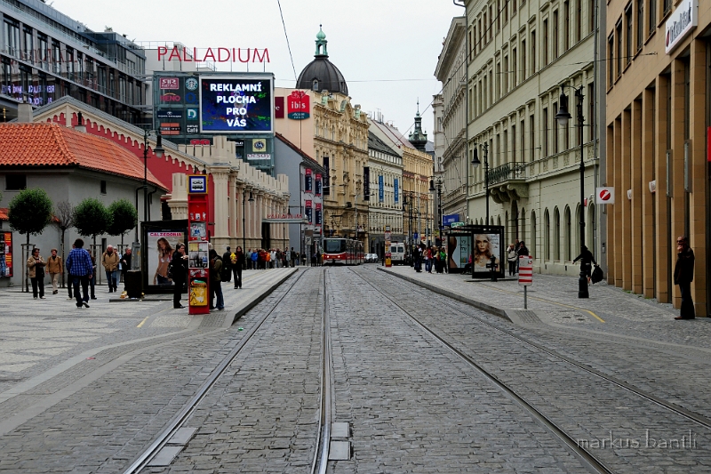 DSC_7864.JPG