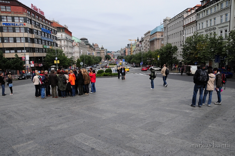 DSC_7870.JPG
