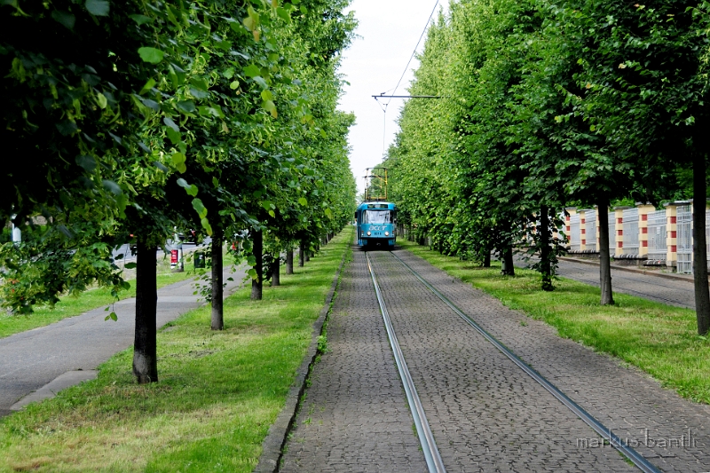 DSC_7874.JPG