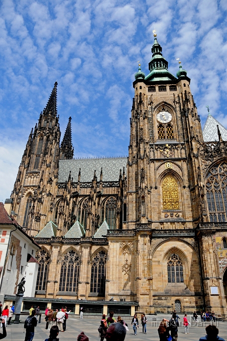 DSC_7878.JPG