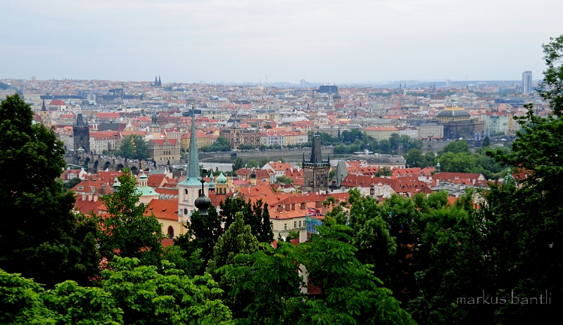 DSC_7882.JPG