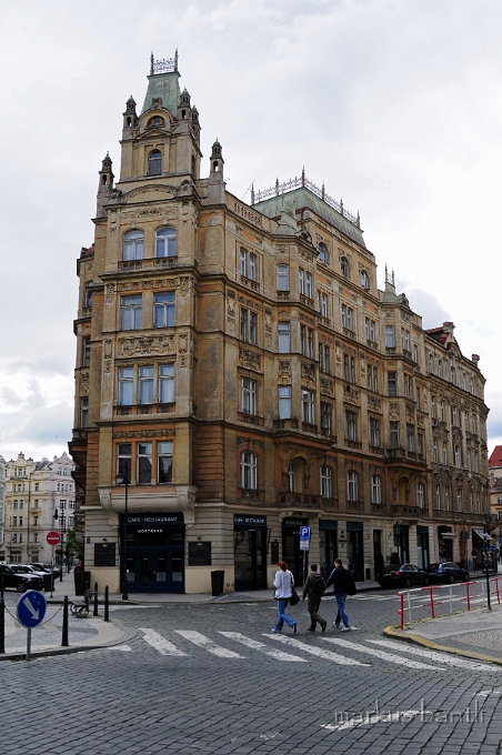 DSC_7924.JPG